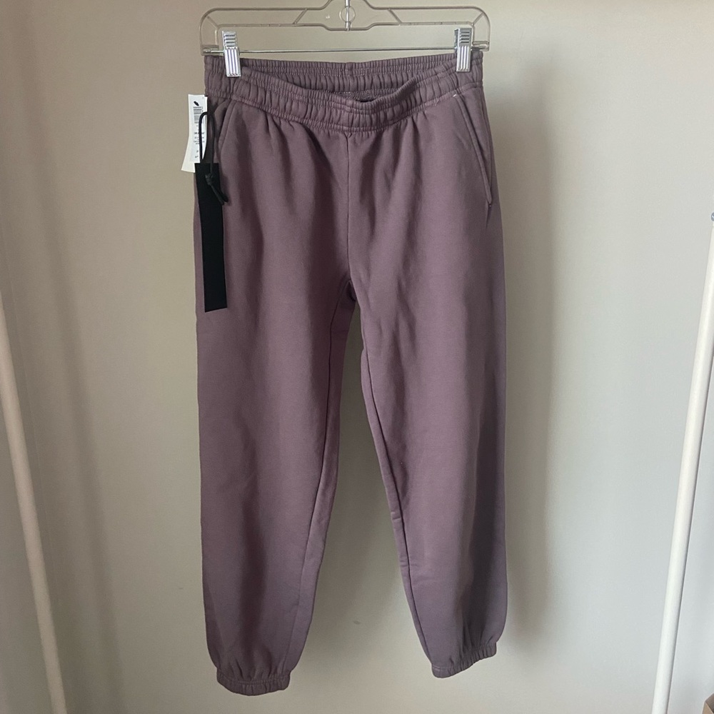 Aritzia The Super Fleece Sweatpant